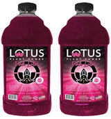Lotus Energy Drink Concentrate 64 fl oz (Pink) Pack of 2