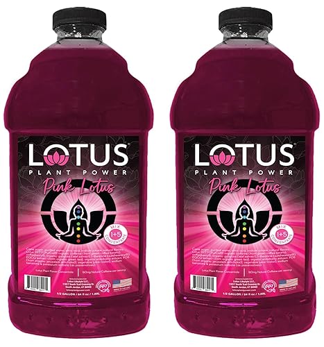 Lotus Energy Drink Concentrate 64 fl oz (Pink) Pack of 2
