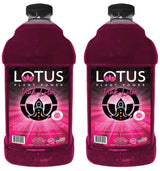 Lotus Energy Drink Concentrate 64 fl oz (Pink) Pack of 2