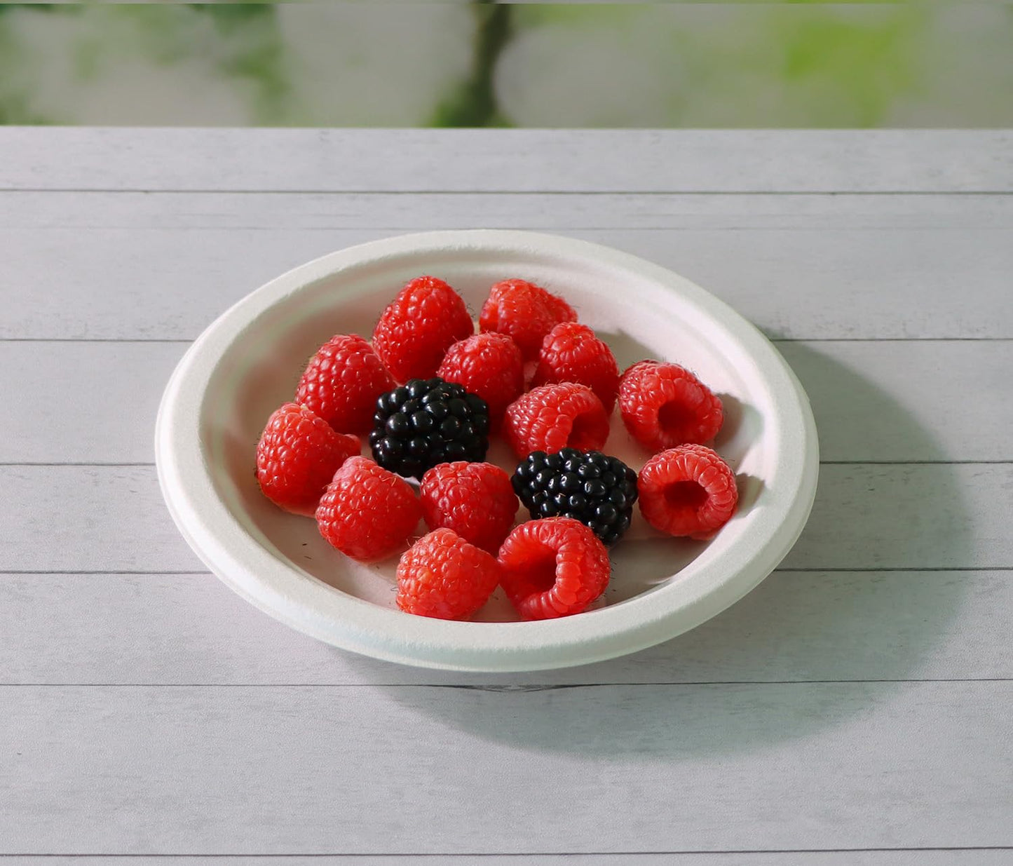 CantaGreen 6 inch Small Compostable Dessert Plates,100 Count Heavyduty Sugarcane/Bagasse and Bamboo Fibre Biodegradable Disposable Paper Plate
