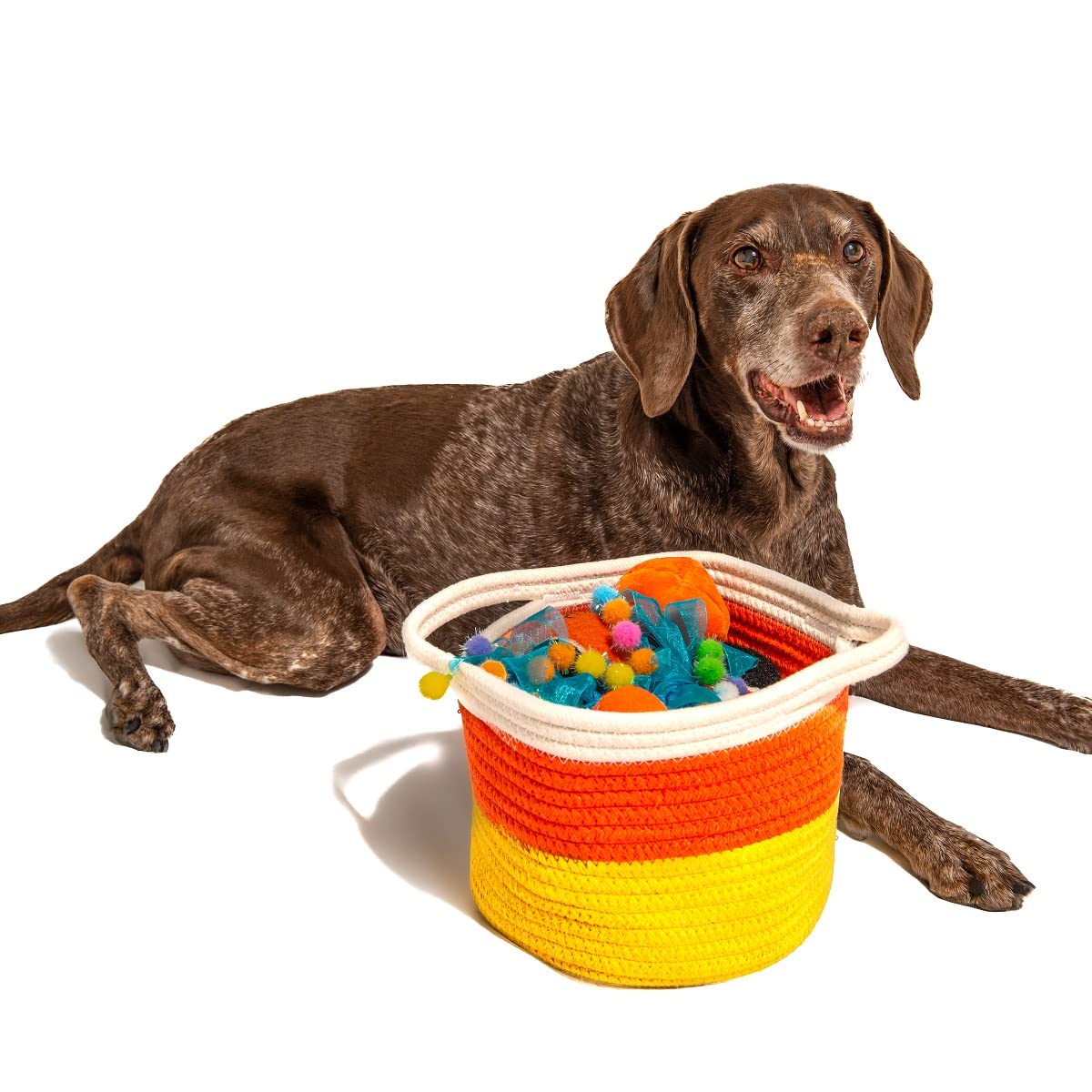 Midlee Candy Corn Rope Basket (Large)