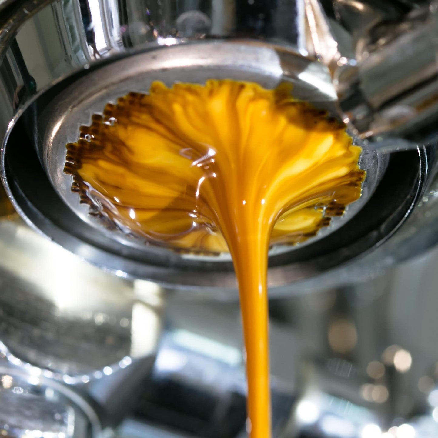 JO ESPRESSO: 2 lb, Organic Whole Espresso Beans, USDA Certified Organic, Gluten Free, NON-GMO, Fair Trade Certified, Perfect Rich Thick Crema