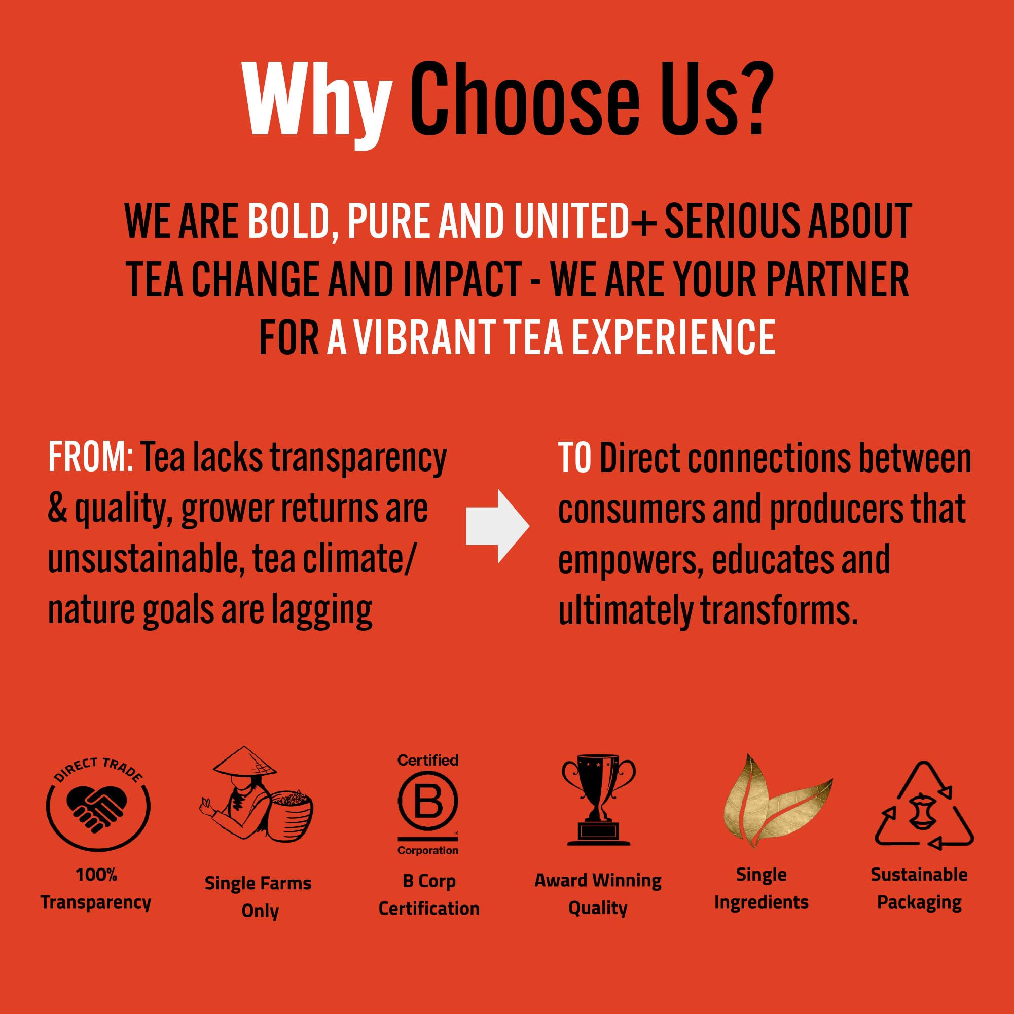 Tea Rebellion | Premium Hand Picked Ayurvedic Chai Tea | Single Origin, Spicy and Sweet Nepali Heritage | AVPA 1st Prize Winner | 40G Loose Leaf Tea