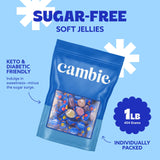 Cambie Sugar Free Gummies - 1 lb of Individually Wrapped Sugar Free Candy, Assorted Fruit Flavors, Diabetic Friendly, Keto, Low Carb, Vegan, Natural