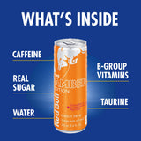 Red Bull Energy Drink, Strawberry Apricot, Amber Edition