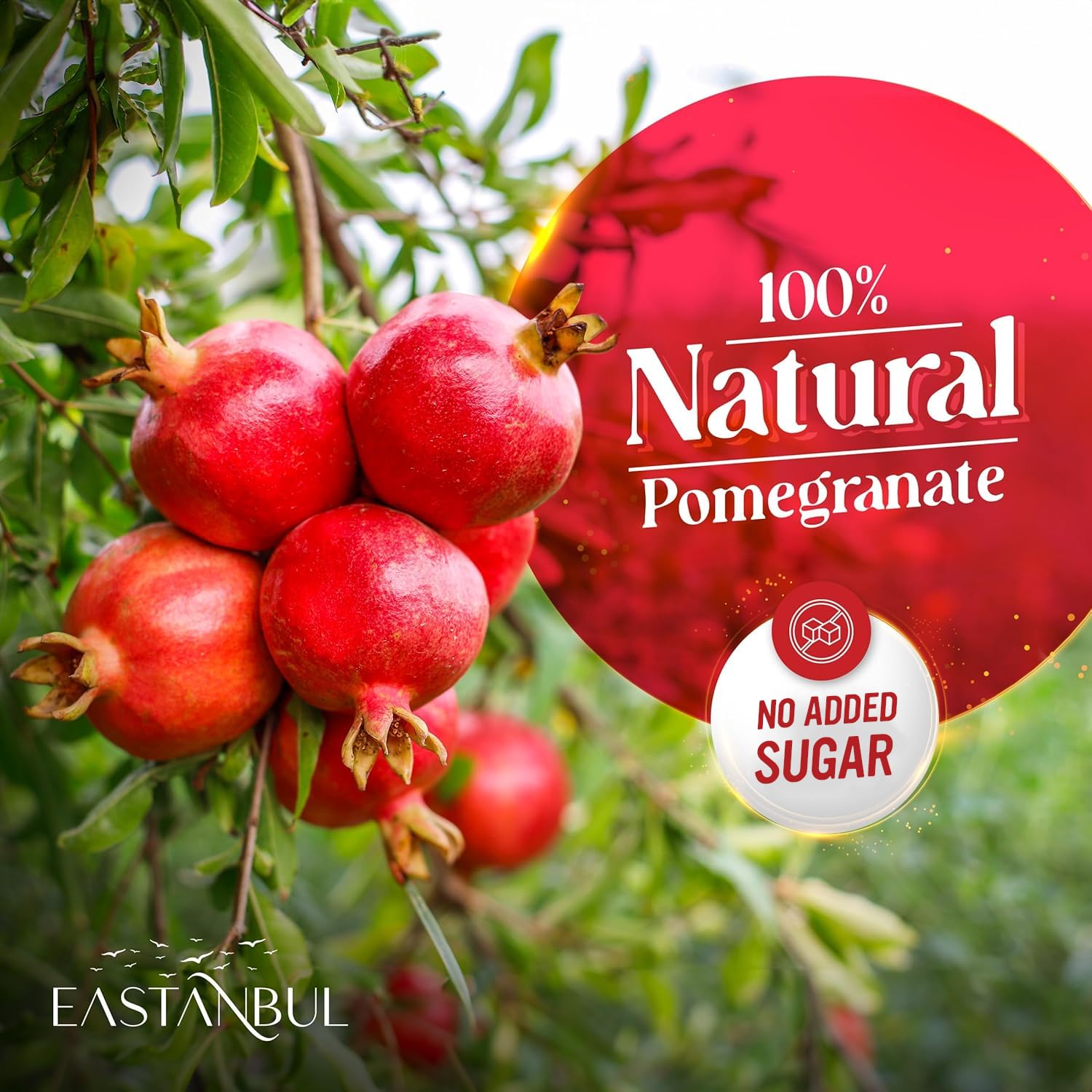 Eastanbul Pomegranate Molasses, No Added Sugar, Natural, 12.35oz