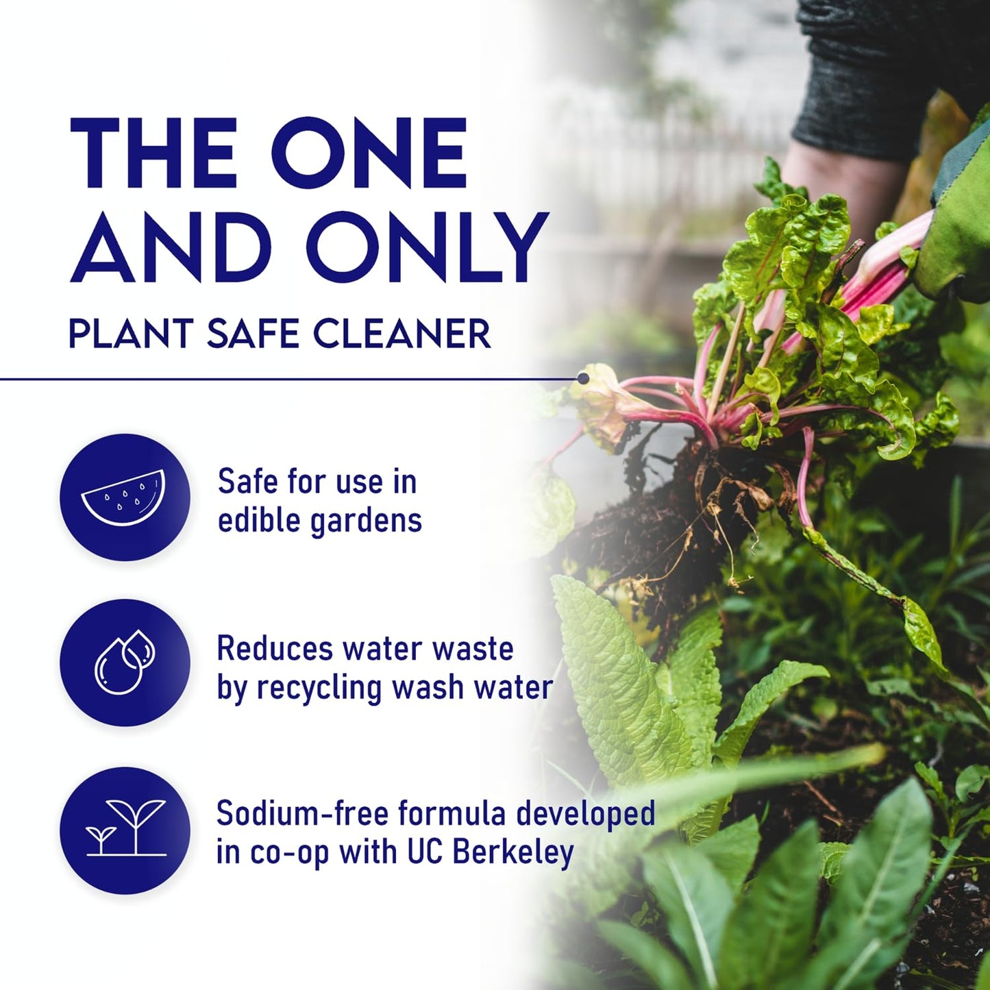 Oasis Biocompatible Dish Soap Liquid & All Purpose Cleaner - Reuse Greywater for Plants - Clean, Safe, Concentrated, Grey Water Friendly, Sodium-Free