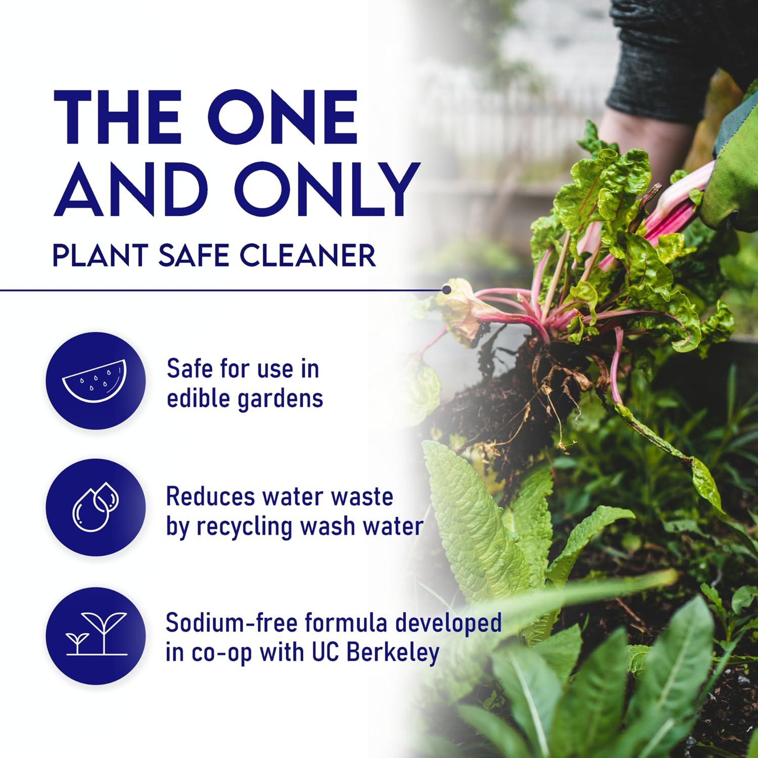 Oasis Biocompatible Dish Soap Liquid & All Purpose Cleaner - Reuse Greywater for Plants - Clean, Safe, Concentrated, Grey Water Friendly, Sodium-Free