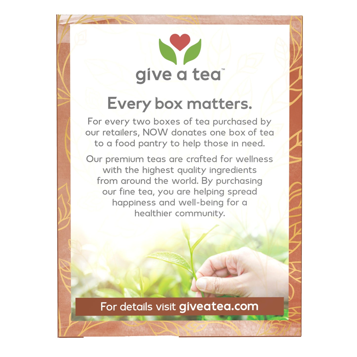 NOW Foods, Give a Tea Ginger Mint Comfort Tea, Caffeine-Free, Calming, Tummy-Pleasing, 24-Count