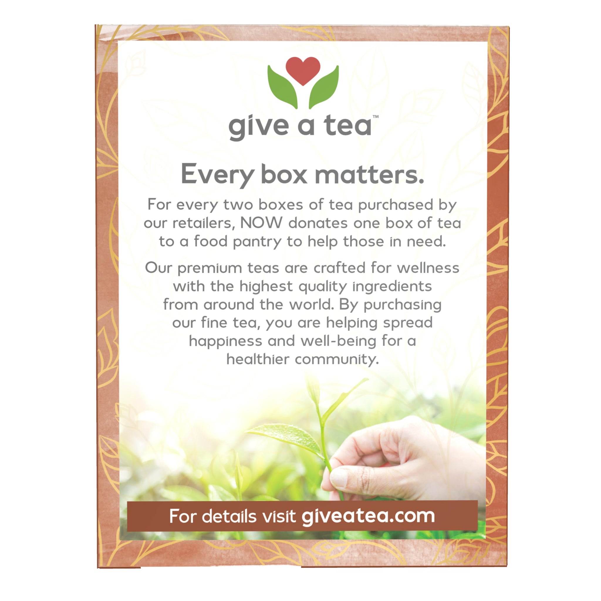 NOW Foods, Give a Tea Ginger Mint Comfort Tea, Caffeine-Free, Calming, Tummy-Pleasing, 24-Count
