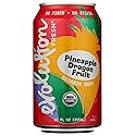 Evolution Fresh Soda Fruit Pineapple Dragon Fruit Organic, 12 Fl Oz