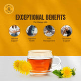 Dandelion Root Tea Bags 50 Count, Mild & Earthy Flavor Herbal Detox Tea - 100% Natural Ingredients, No Artificial Additives or Chemicals