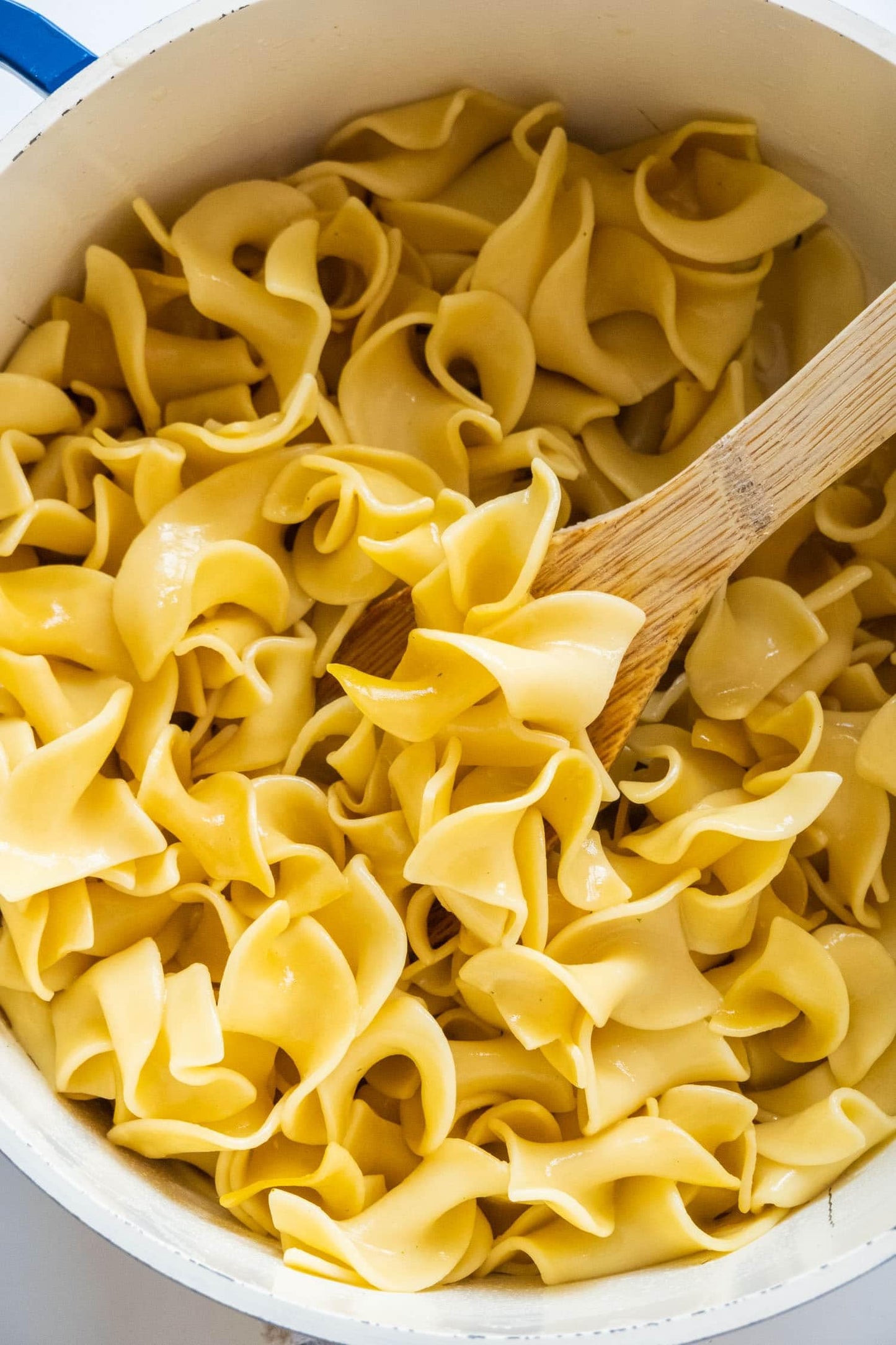 Wide Egg Noodle Pasta | 100% Durum Semolina Flour | Made in America | by Dasher's Spice & Beans | 5 lb.