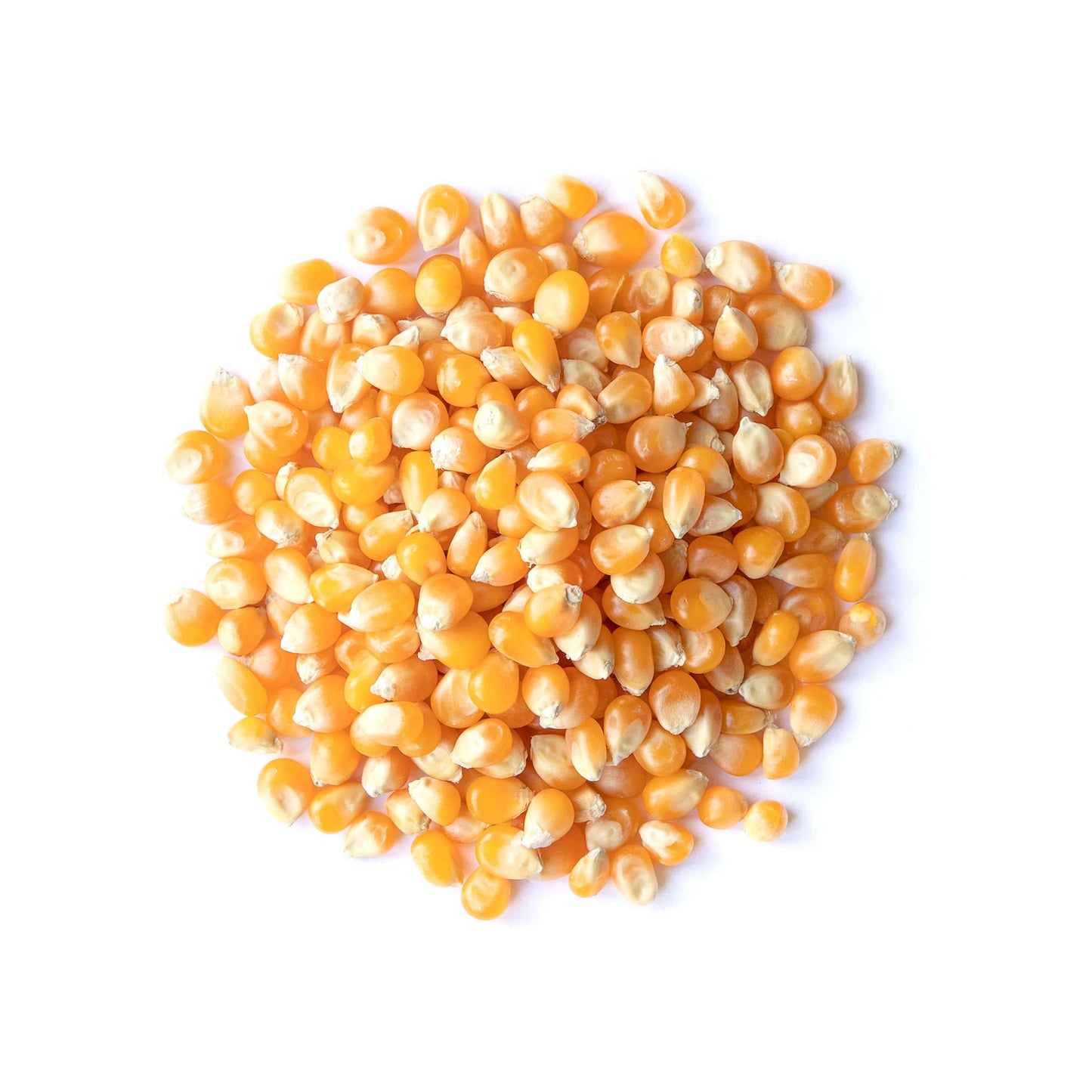 Food to Live Organic Yellow Popcorn, 3 pounds - Non-GMO Corn Kernels, 100% Whole Grain, No Additives, No Preservatives, Bulk. Theater-Quality Popcorn