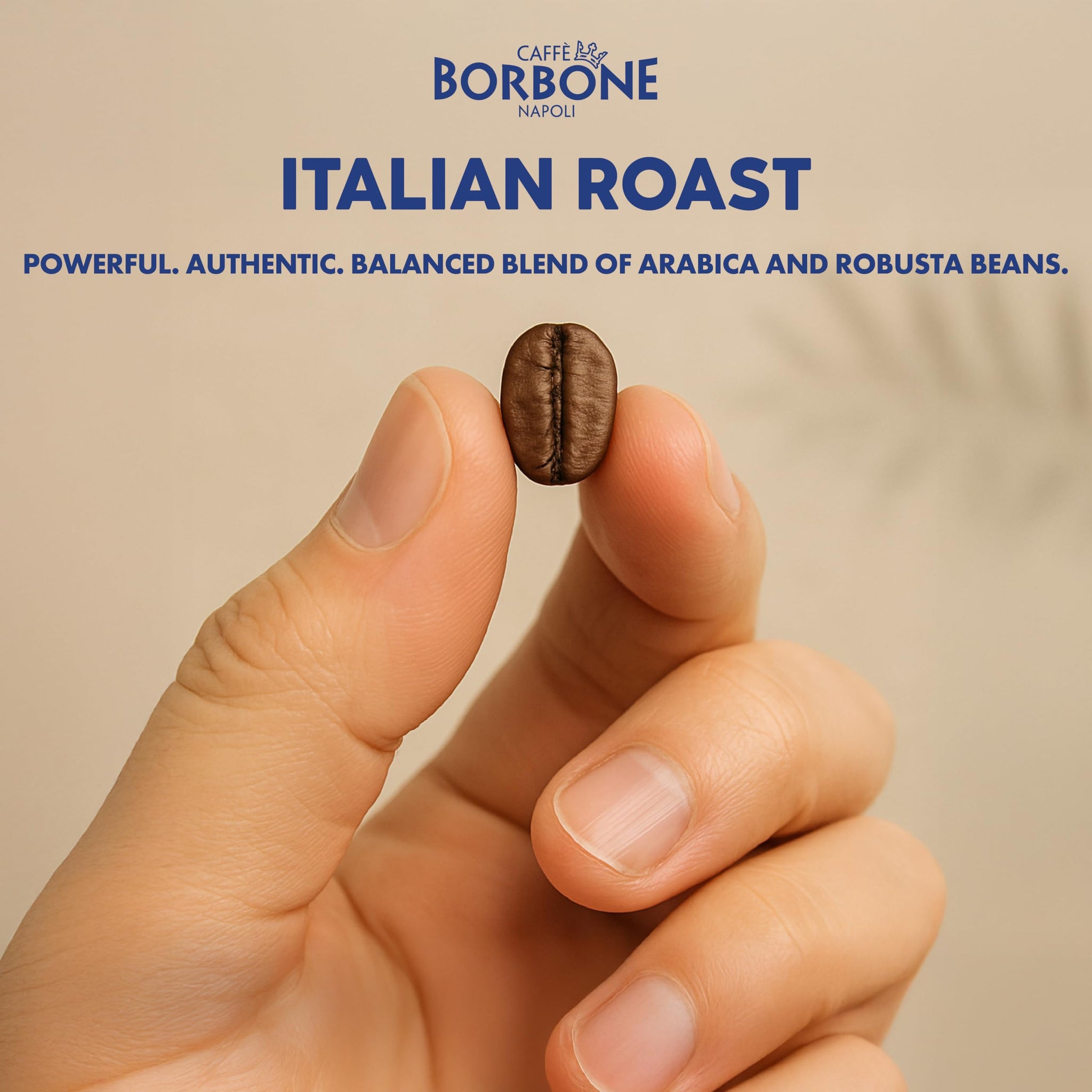 Caffè Borbone Italian Roast Coffee (60 Count) - Medium Dark Roast, Arabica & Robusta Blend, Roasted in Italy for a Bold, Smooth Taste - Single Serve