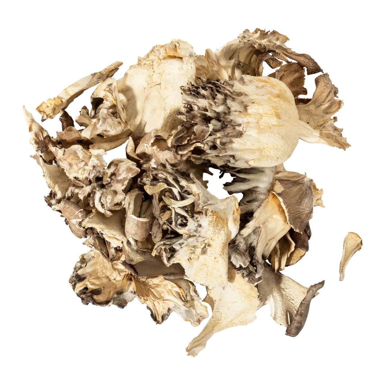 Essential Spice Dried Maitake Mushrooms - Whole, Rich Umami Flavor & Frilly Texture - Ideal for Soups, Stir-Fries, Broths & Risottos - Easy
