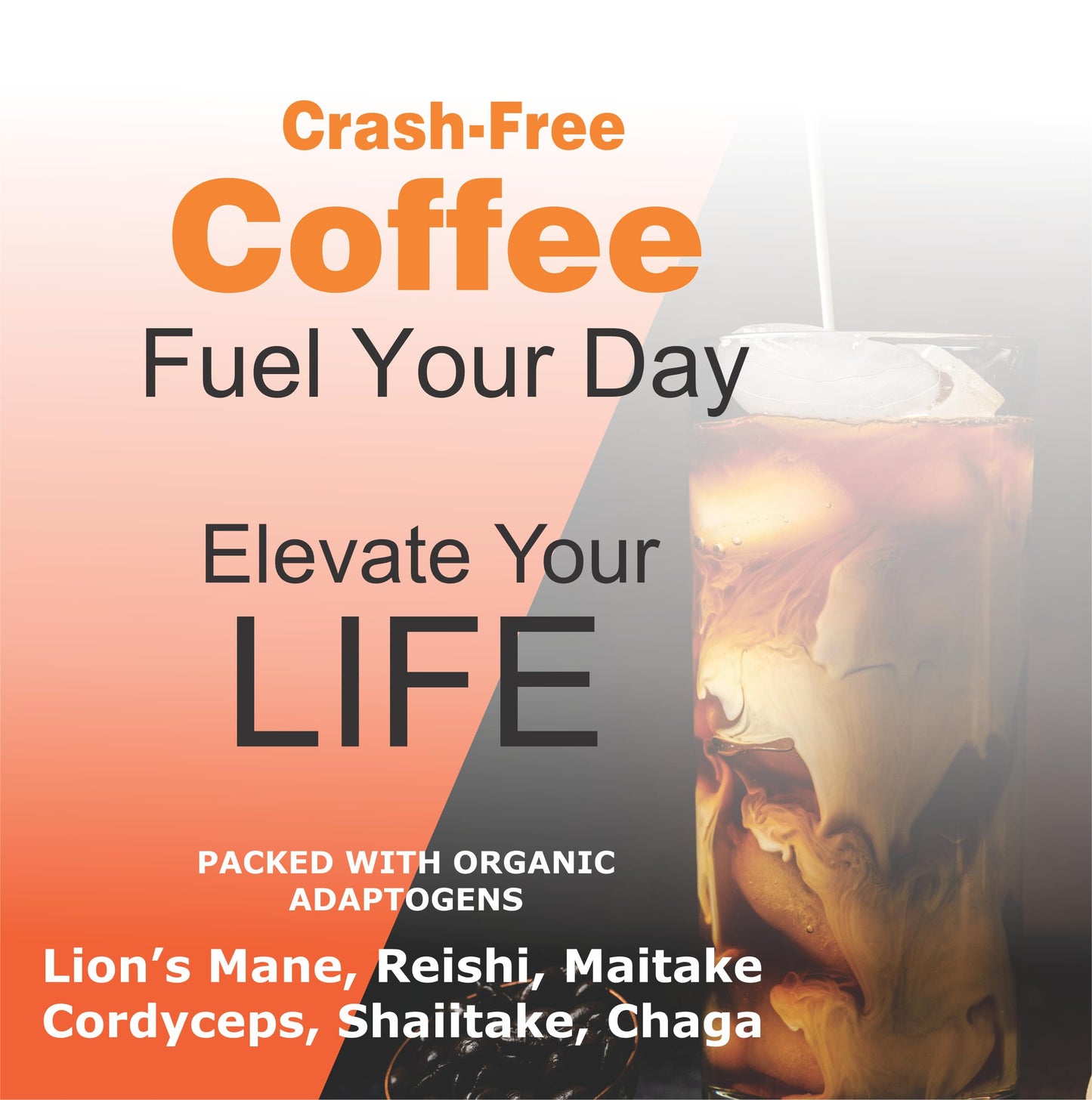 CIRCA AROMA Mushroom Coffee, Organic Arabica Coffee with Lion's Mane, Chaga, Maitake, Shiitake, Cordyceps, L-Theanine and Coconut Milk.