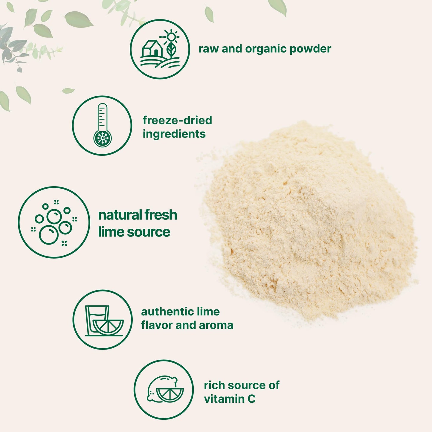 Organic Freeze-Dried Lime Powder, 1.5lbs | Raw Lime Juice Flavor, Sugar Free Drink Mix, Rich in Vitamin C | Water Flavor Enhancer, Great for Beverages