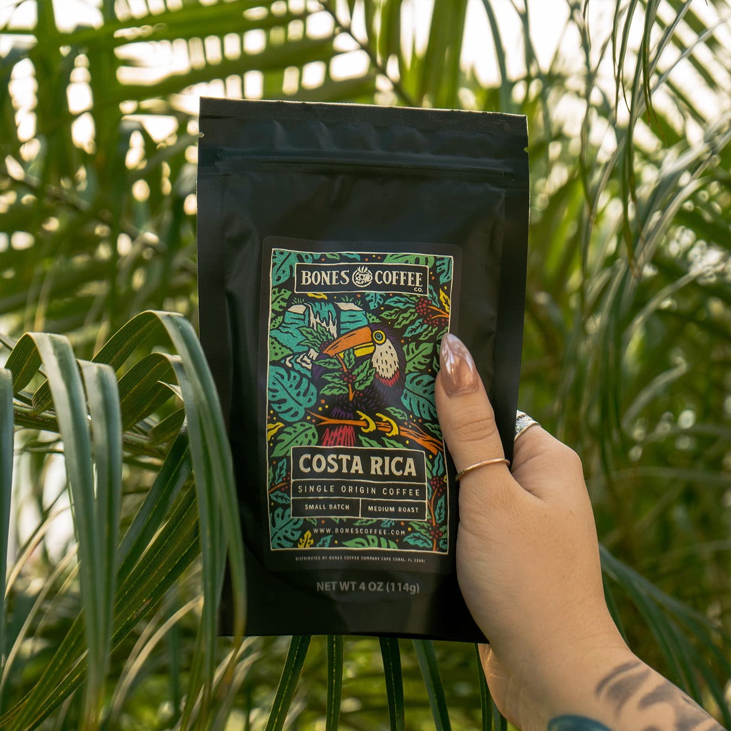Bones Coffee Company NEW World Tour Sample Pack, Single-Origin Flavored Coffee Low Acid Medium Roast Arabica Beans Specialty Coffee Gifts Compatible