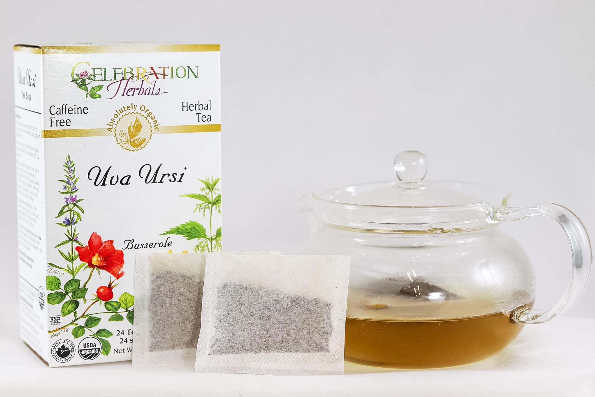 CELEBRATION HERBALS Uva Ursi Tea Organic 24 Bag, 0.02 Pound
