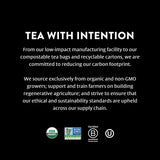 Choice Organic Teas Apple Mate Tea - Compostable - Contains Caffeine - 48 Organic Yerba Mate Tea Bags (Pack of 3)