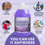 GELEAN LAVENDER Multi Purpose Cleaner & Deodorant - MADE IN USA - Concentrate Lavender cleaner - Strong Odor Floor Cleaner - Floor Cleaner Odor