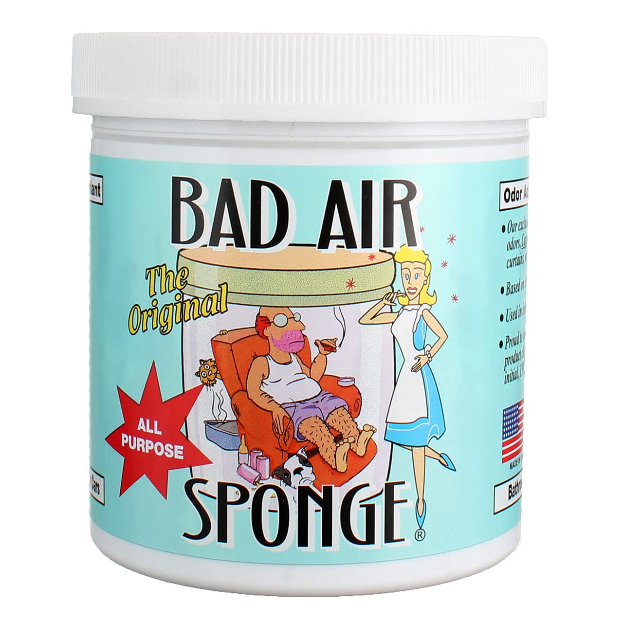 Bad Air Sponge Air Odor Absorbent, 14 ounce, 2-Pack