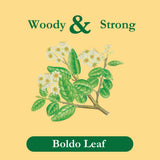 Tadin Boldo Tea, Herbal Tea, Caffeine Free, 24 Tea Bags Per Box, Pack of 1