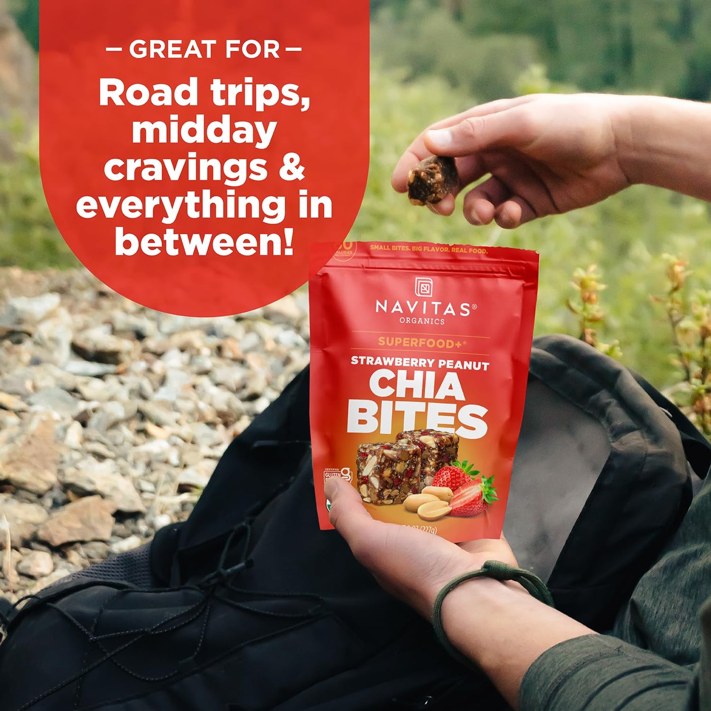 Navitas Organics Strawberry Peanut Chia Superfood+ BITES - Power Snacks - All Natural Plant Based - Clean Energy & Nutrition - USDA Organic, Non GMO
