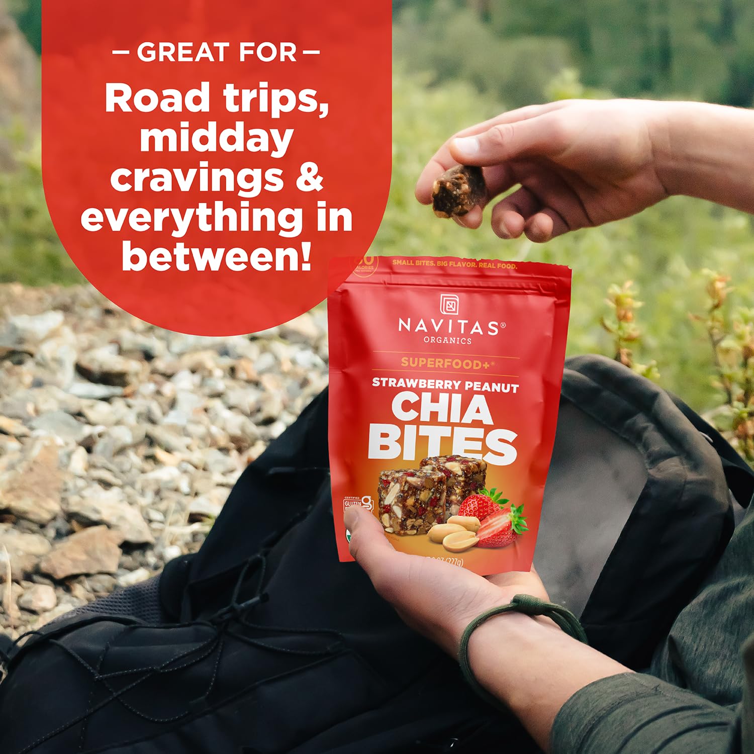 Navitas Organics Strawberry Peanut Chia Superfood+ BITES - Power Snacks - All Natural Plant Based - Clean Energy & Nutrition - USDA Organic, Non GMO