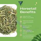 Premium Loose Horsetail Tea 4oz (TE COLA DE CABALLO) | Makes 30+ tea cups | Shave Grass Resealable Bag | Crafted By Nature 100% All Natural.