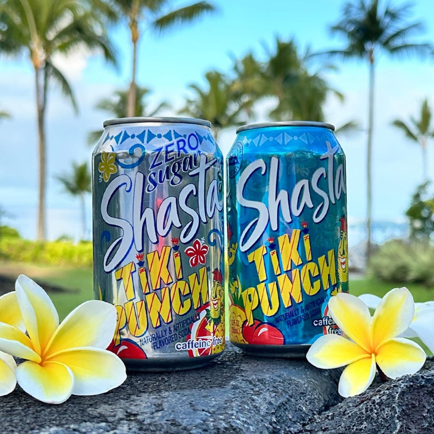 Shasta Tiki Punch | 12-Pack of 12oz Cans | Tropical Fruit Punch Flavor | Sweet & Bold | Caffeine-Free