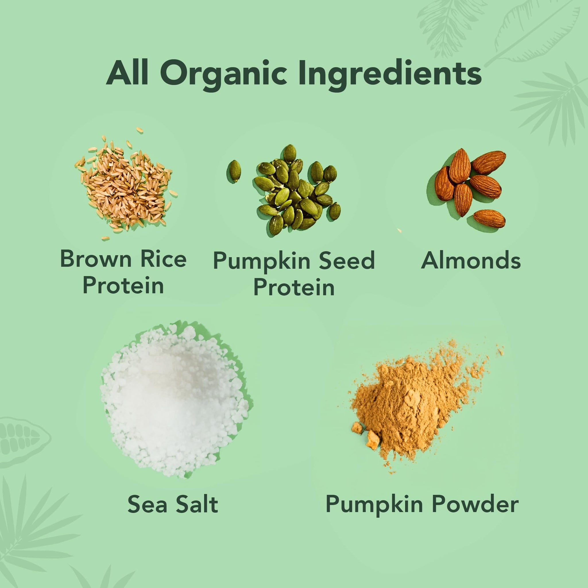 ALOHA Organic Plant Based Protein Bars - Pumpkin Spice, Vegan, Low Sugar, Gluten-Free, Low Carb, Non-GMO, No Stevia, No Erythritol - LIMITED EDITION