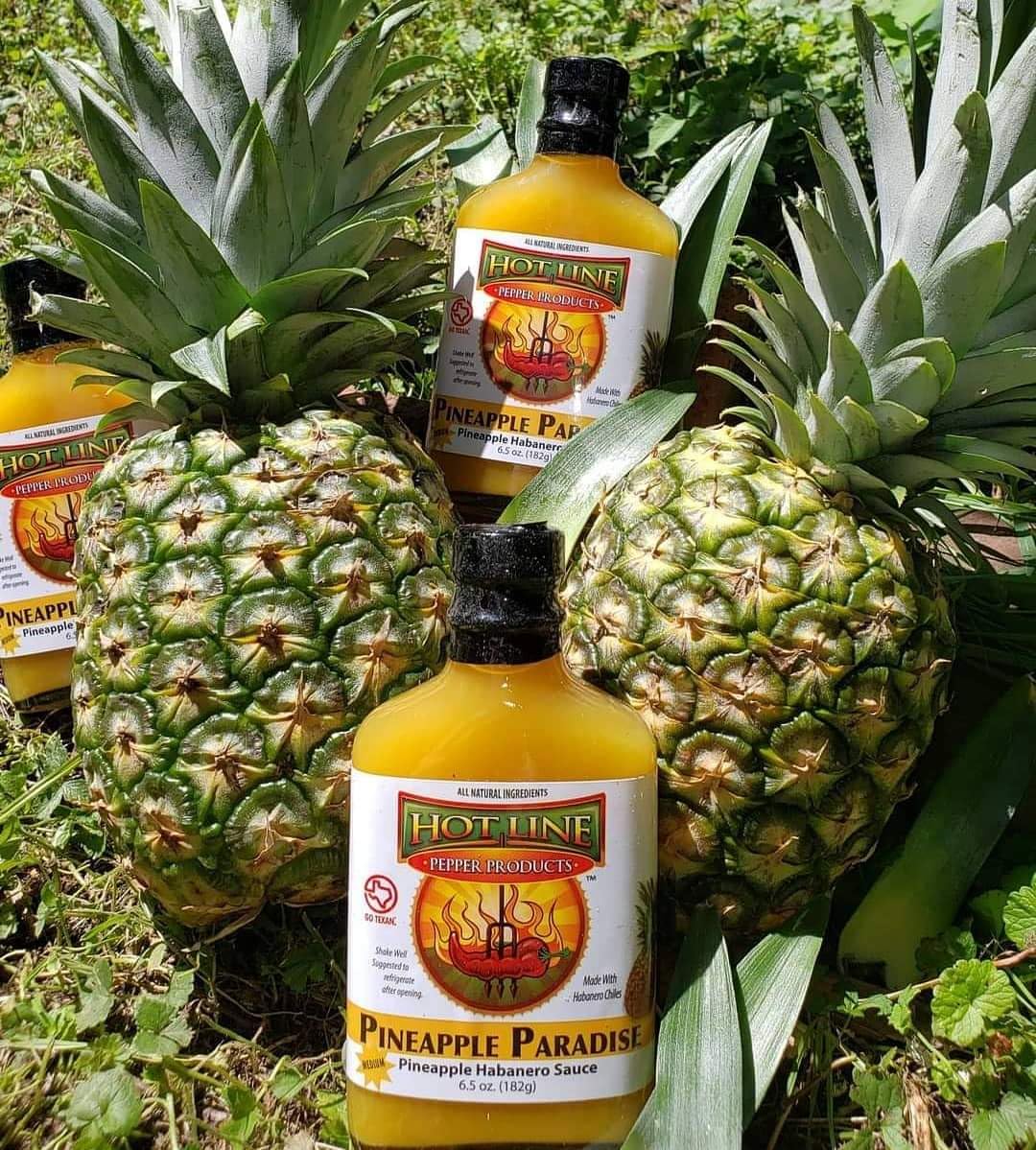 Hot Line Pepper Products Pineapple Paradise Habanero Hot Sauce, Sweet and Spicy, Medium Heat, Small Batch, Gluten Free, 6.5 oz