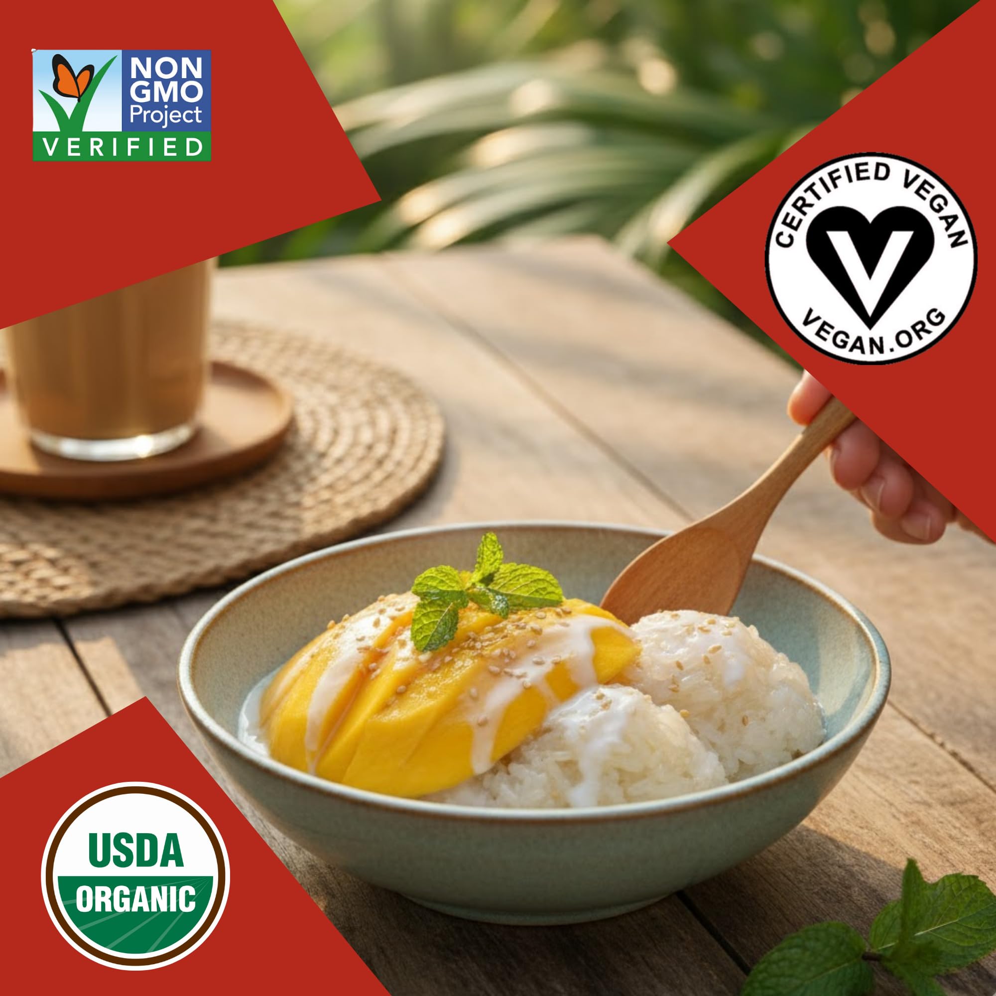 24Vegan - Sweet Coconut Sticky Rice | Ready to Eat Vegan Dessert, Gluten-Free | Organic Coconut Rice Pudding (7.8oz) - Pack of 1