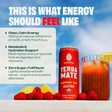 Mateina Yerba Mate Zero Sugar Energy Drink - 120mg Natural Caffeine - Organic, Non-GMO, Non-Carbonated - Dr. Andrew Huberman Recommended - (12 fl oz