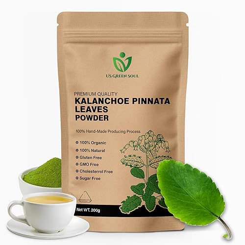 100g Kalanchoe Pinnata Leaves Powder - Healthy, Well-Cleaned, Dried Organic Leaves Powder, No Additives, 100% Pure & Natural