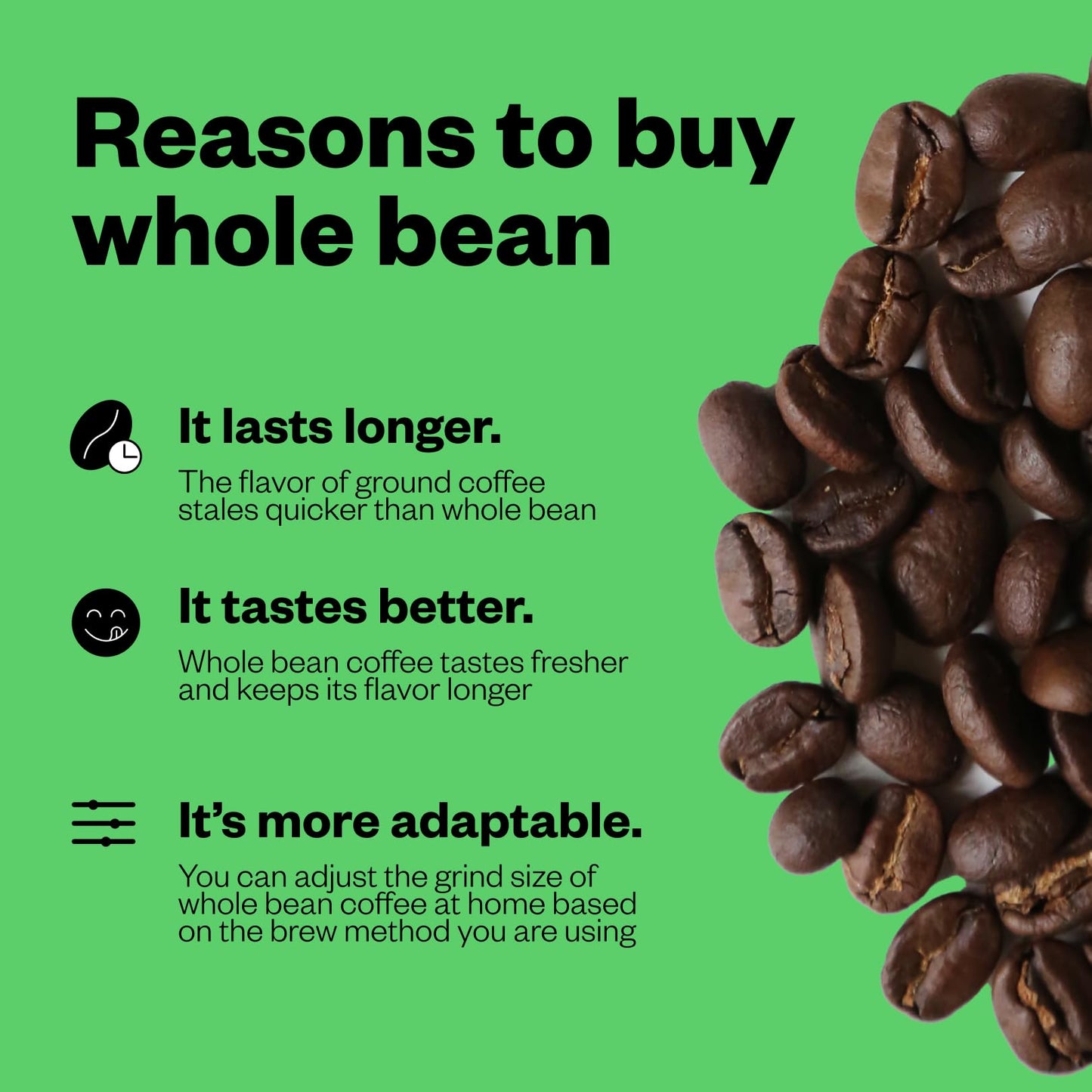 Counter Culture Whole Bean Coffee 2-Pack (Fast Forward - Light Roast) Nutty, Sweet, Creamy - Sustainably Sourced - B Corp Certified - Whole Coffee