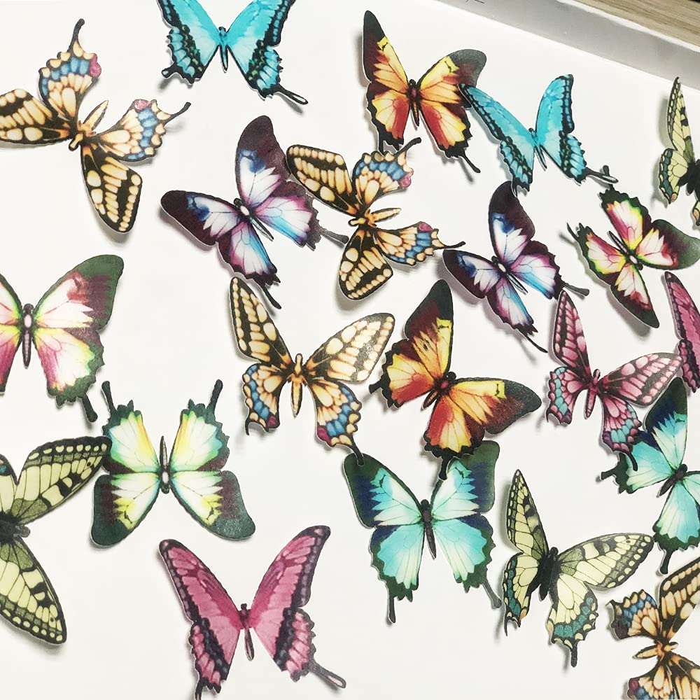 2" Edible Wafer Paper Big Colorful Butterflies for Cake / Cupcake Set of 24 Piece (colorful)