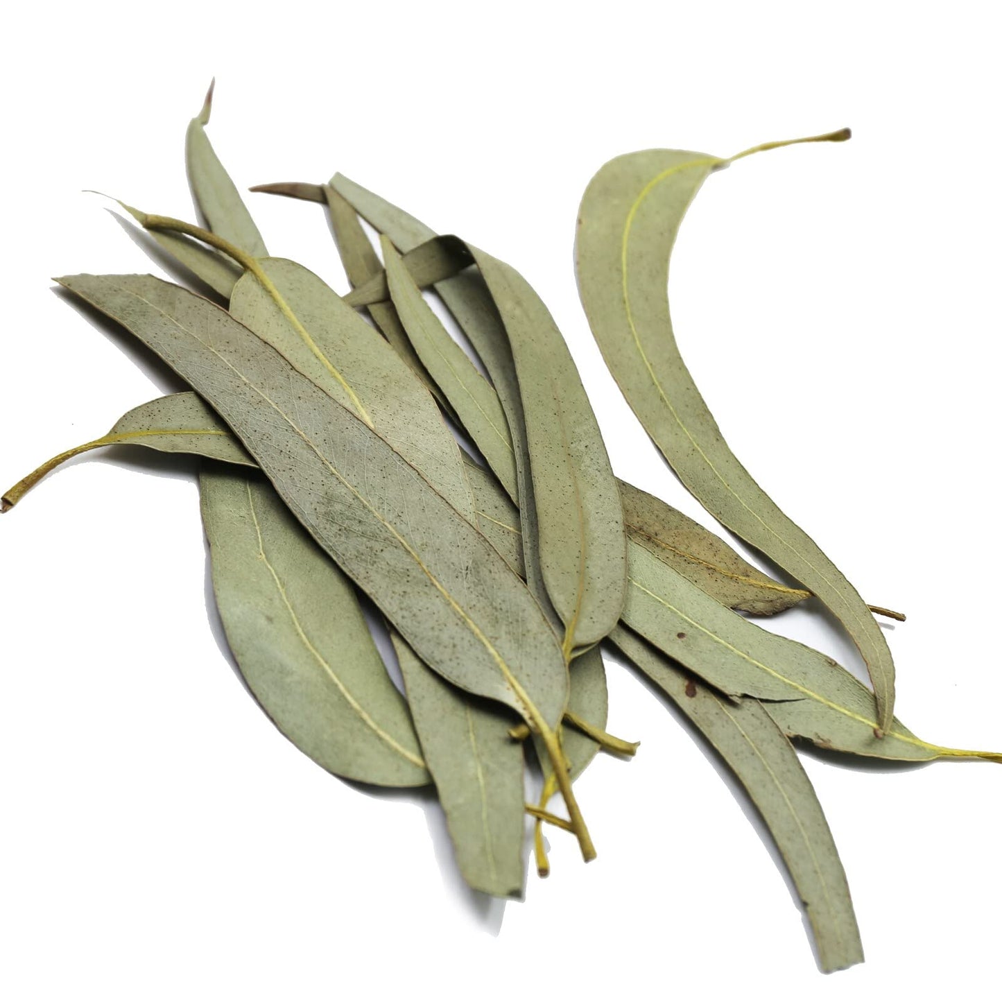 FullChea - Dried Eucalyptus Leaves - 4oz/114g - Hojas de Eucalipto - Premium Chinese Dried Eucalyptus Herb Whole Leaf - Non-GMO - Caffeine-free - Easy