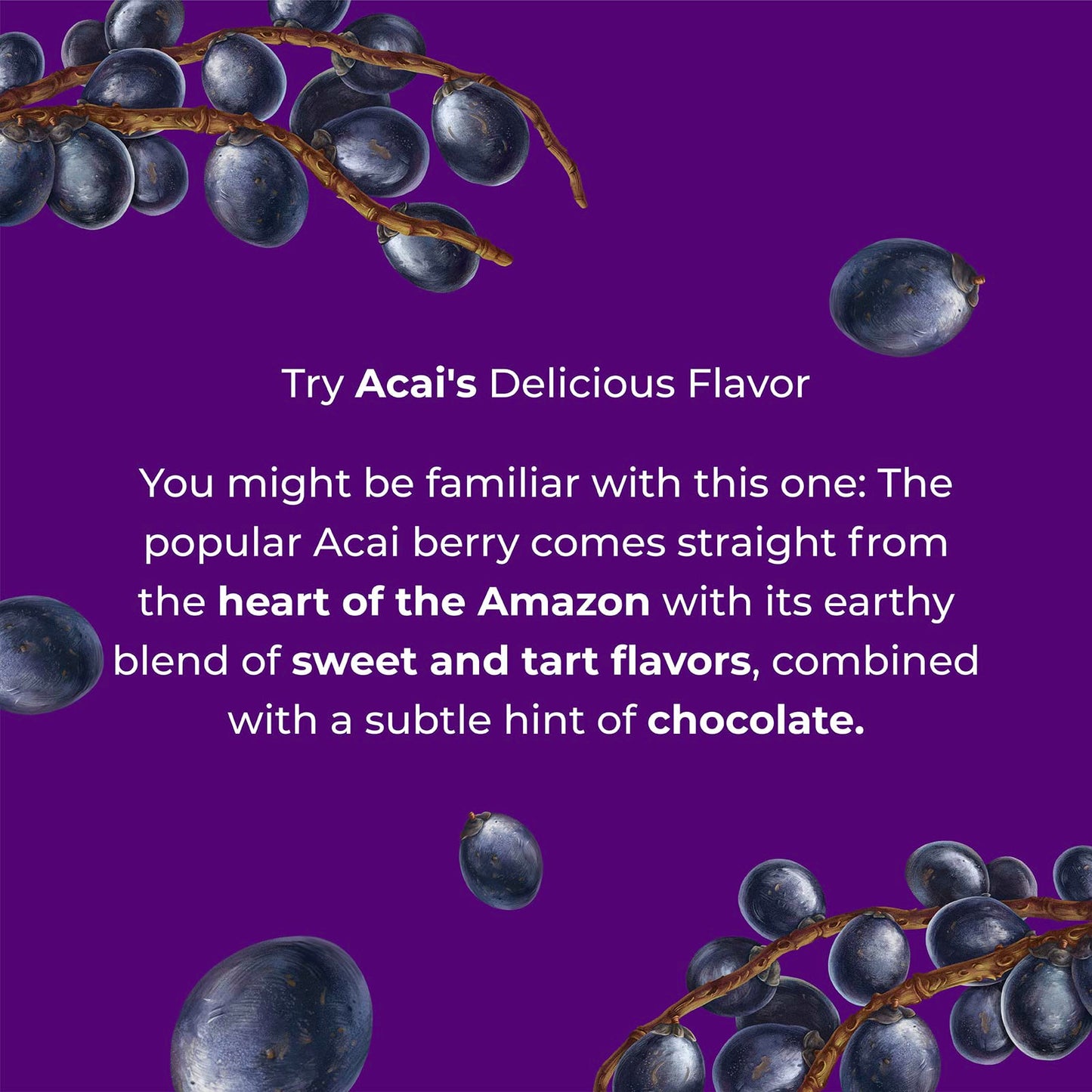Amayu Exotic Super Fruit Juice | Variety Pack (Acai, Buriti, Camu Camu) | 100% Organic Juice From the Amazon | NO Sugar Added | Immune Support