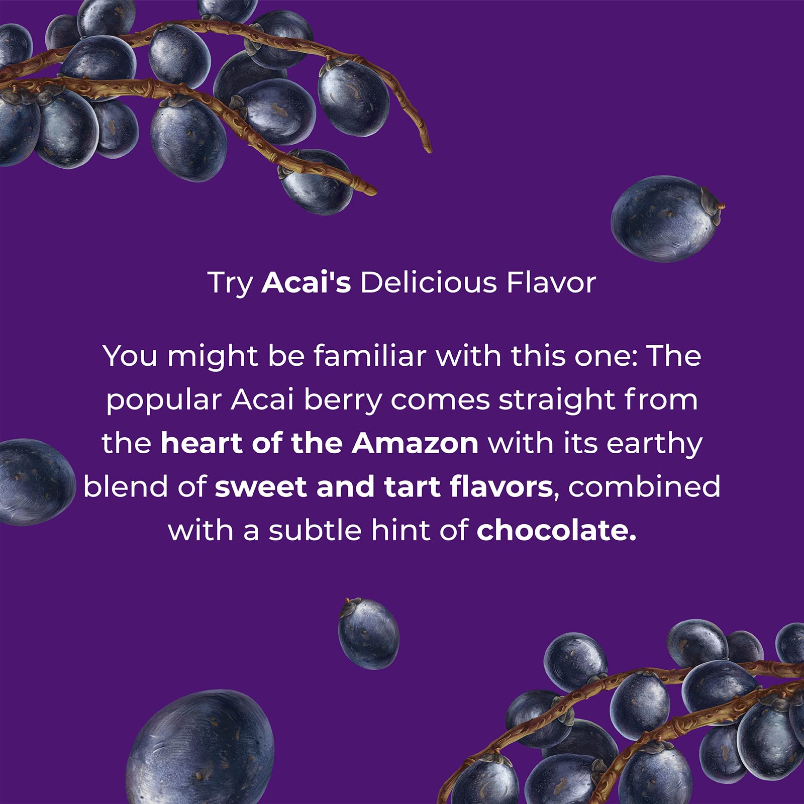 Amayu Exotic Super Fruit Juice | Variety Pack (Acai, Buriti, Camu Camu) | 100% Organic Juice From the Amazon | NO Sugar Added | Immune Support