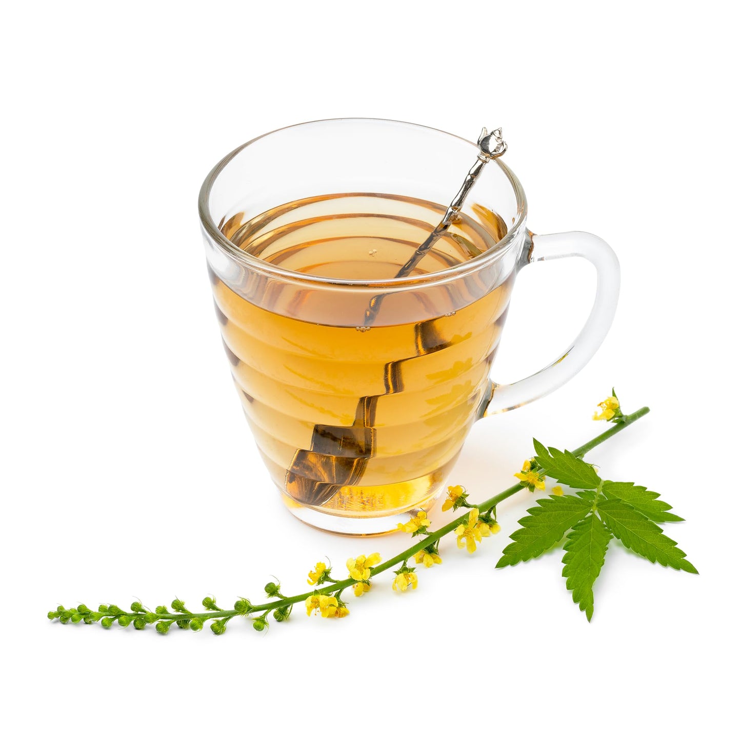 Birch & Meadow 8 oz of Agrimony Raw Herb, No Additives, Herbal Tea
