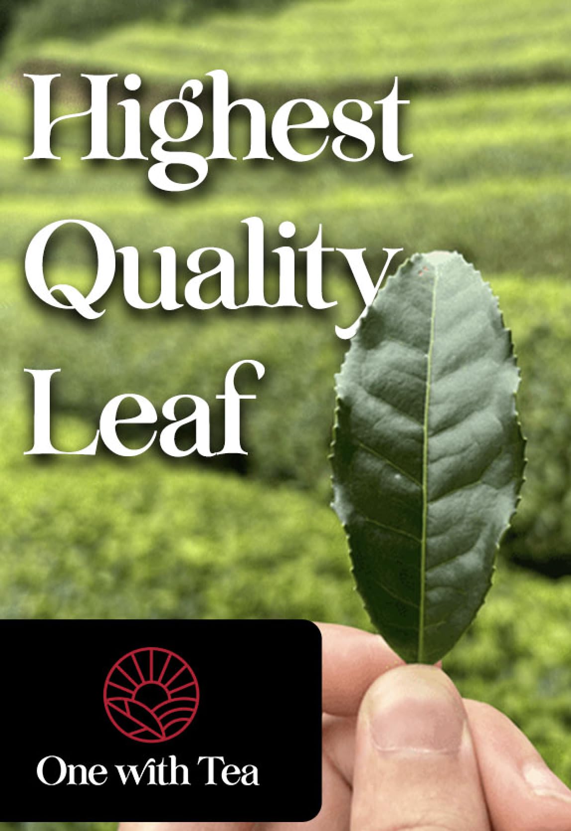 One With Tea Organic Japanese Genmaicha with Matcha Green Tea Loose Leaf - Premium Whole Leaf Sencha with Roasted Brown Rice & Matcha, USDA Organic