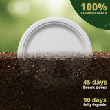 Naturawave Essentials 100% Compostable Paper Plates, Heavy Duty Disposable Plates [50-Pack] 10 Inch Plates - Eco-Friendly, Biodegradable Sugarcane