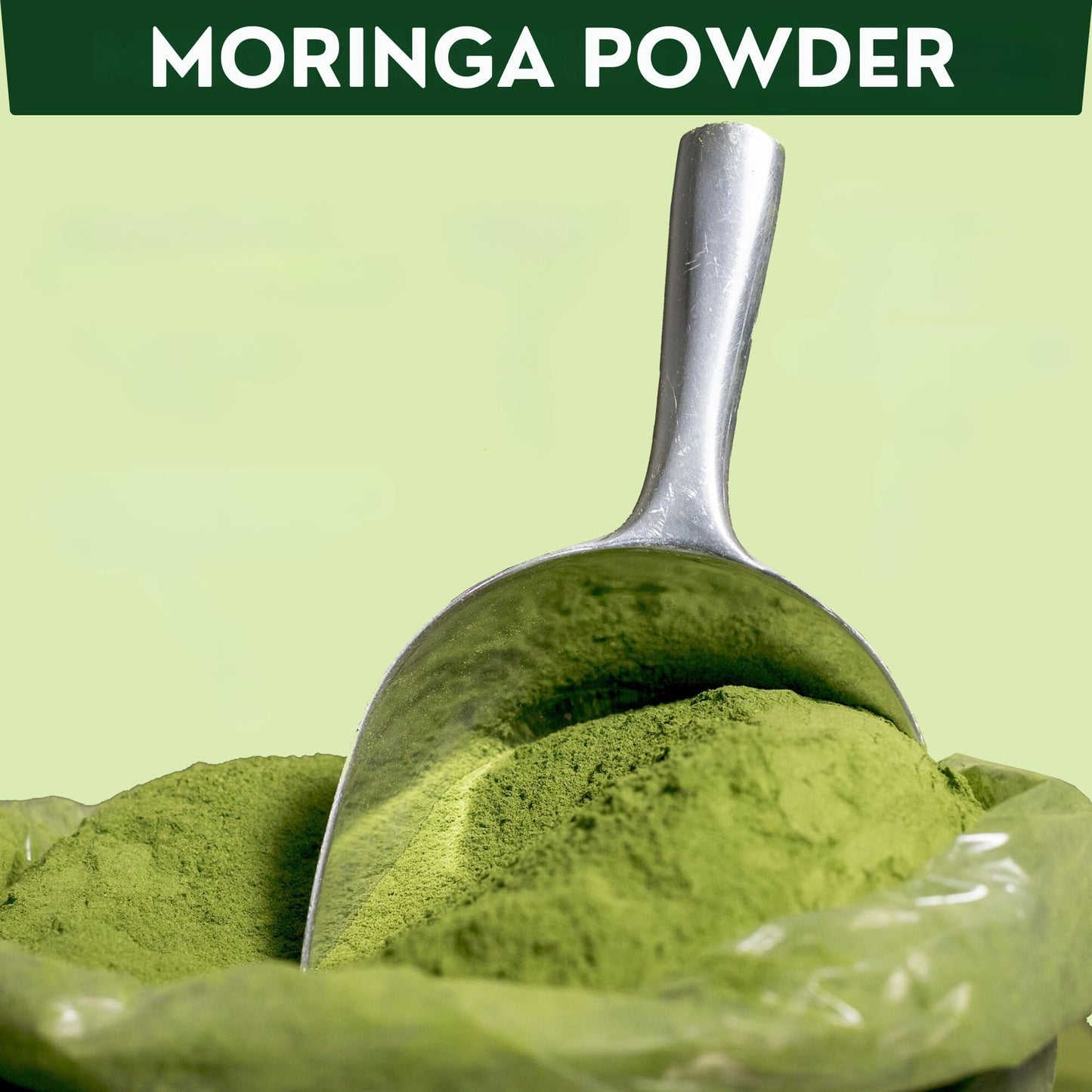 Nutrigins Moringa Powder - 1 lb - Organic Moringa Oleifera - 100% Raw and Pure Moringa Leaf Powder - Great for Drinks, Tea, Smoothies & Recipes