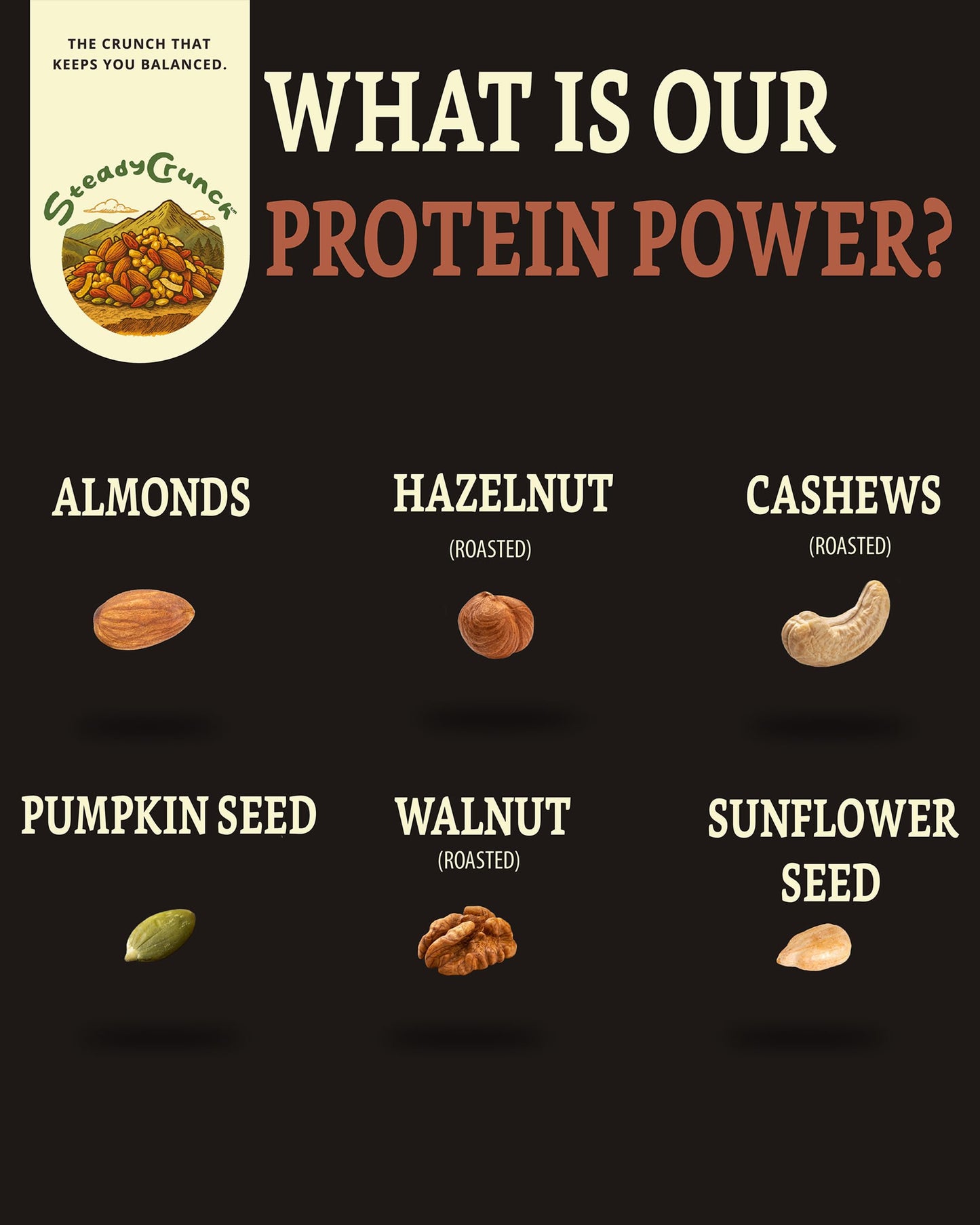 SteadyCrunch Protein Power Mixed Nuts - High Protein Snacks & Keto Nut Mix - Non-GMO, Vegan & Gluten Free Healthy Snacks - Almonds, Cashews & Walnuts