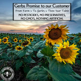 Gerbs Raw Sunflower Seed Kernels 14 oz. | No Artificial Additives, Resealable Bag | Mild & Crunchy | Top 14 Allergen-Free