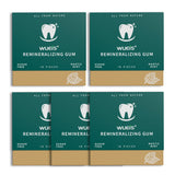 Remineralizing Gum Hydroxyapatite with Xylitol - Sugar Free Spearmint Chewing Gum for Enamel Support and Fresh Breath - 18 Pieces (18 Count (Pack