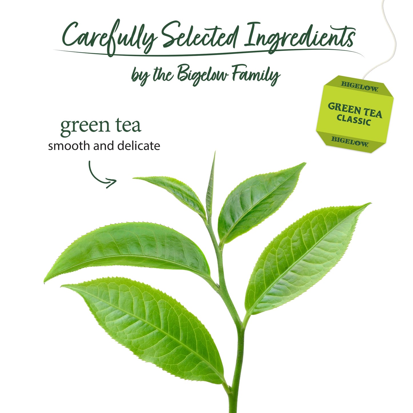 Bigelow Green Tea Bags, 40 ct